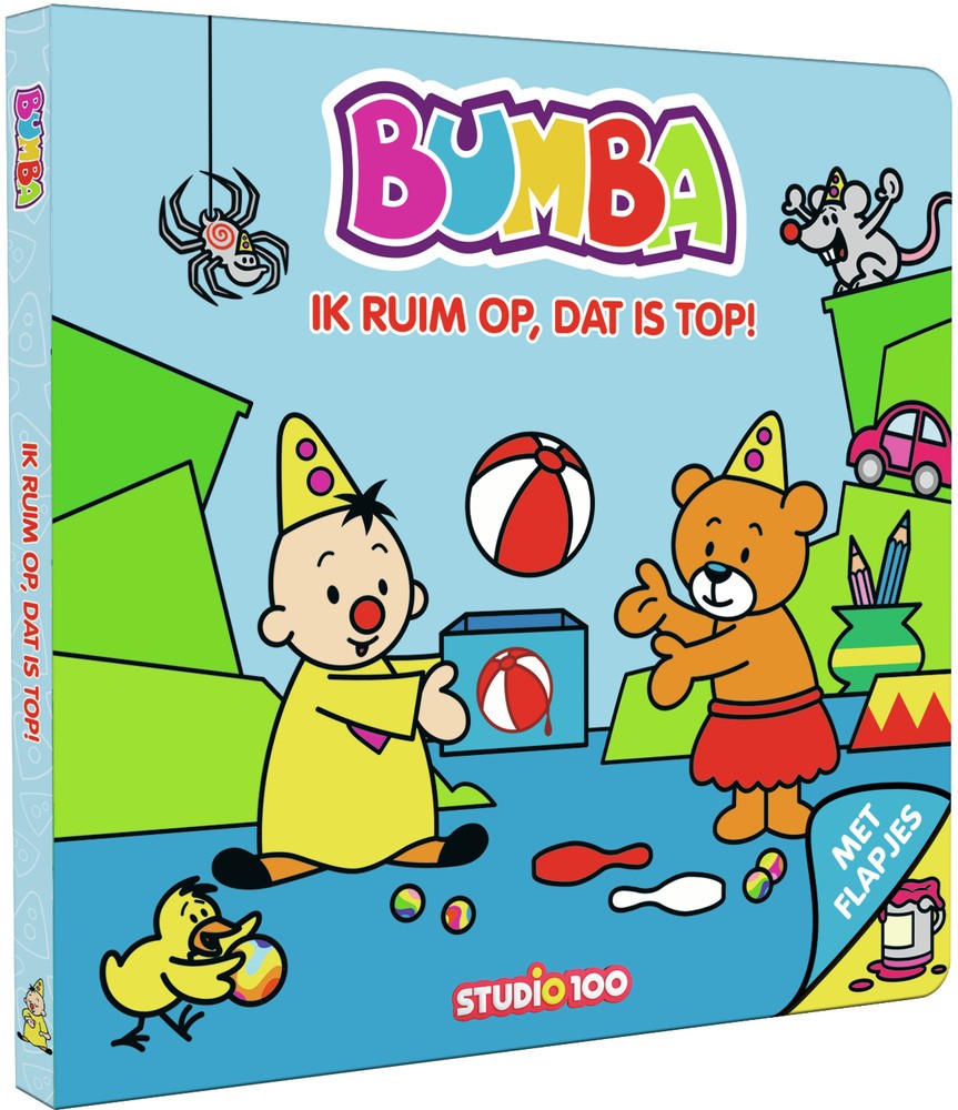 Boek Bumba: ik ruim op, dat is top!